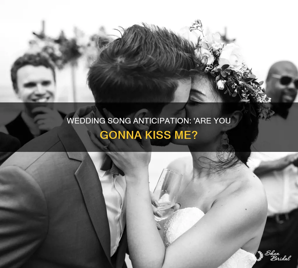 are you gonna kiss me or not wedding song