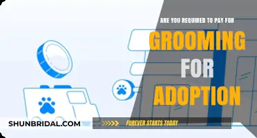 Understanding Grooming Costs in the Adoption Process