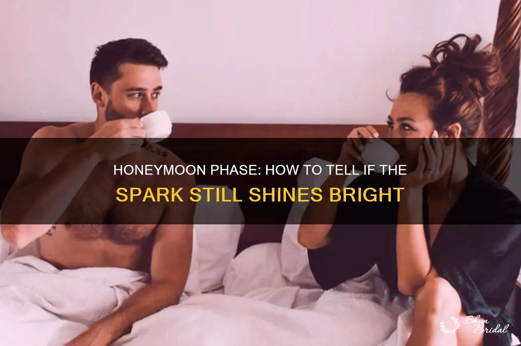 are you still in the honeymoon phase