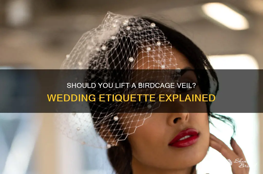 are you supposed to lift a birdcage veil