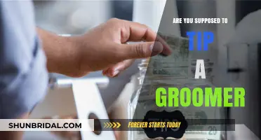 To Tip or Not to Tip: Grooming Etiquette Explained
