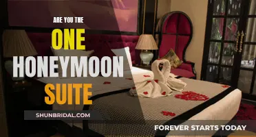 Honeymoon Suite Secrets: Are You the One?