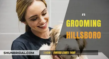Exploring Hillsboro's Premier Pet Grooming Destinations