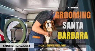 Pamper Your Pet: Mobile Grooming Services in Santa Barbara