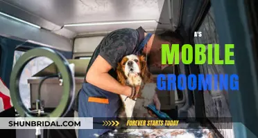 Pamper Your Pet on the Go: A's Mobile Grooming Services