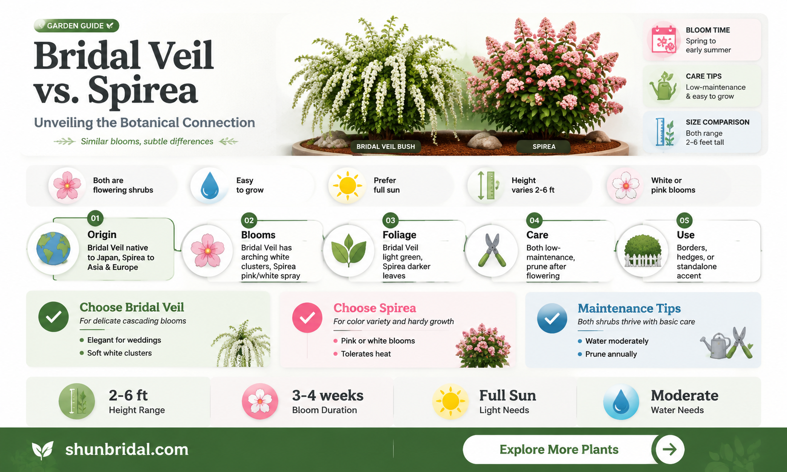 are bridal veil bushes also called spirea