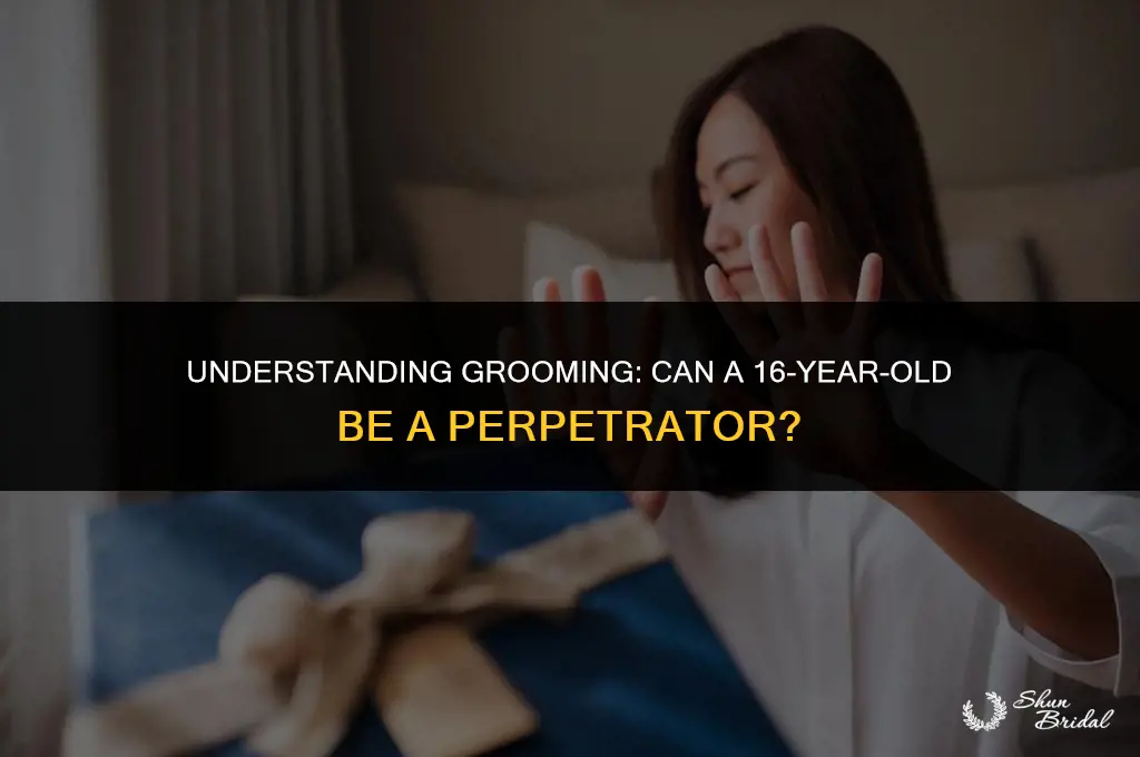can a 16 year old be a groomer
