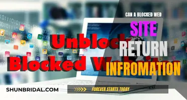 Blocked Websites: Can They Still Provide Information?