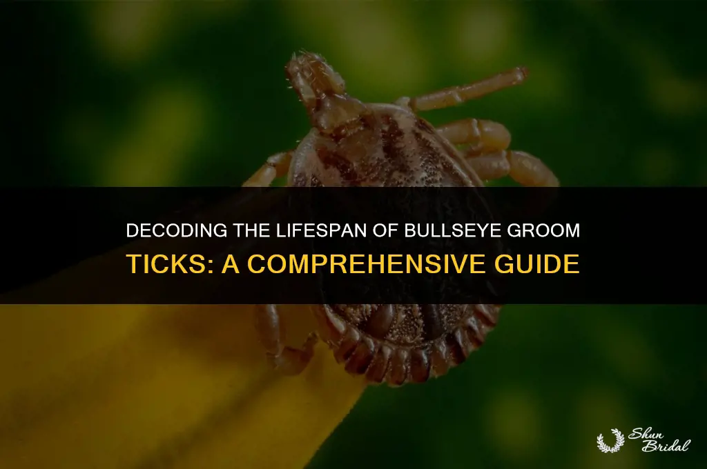 can a bullseye groom tick last more than 3 weeks