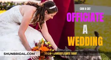 Feline-Officiated Weddings: Purr-fectly Legal or a Meow-ss?