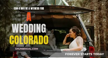 Can Dogs Witness Weddings in Colorado?