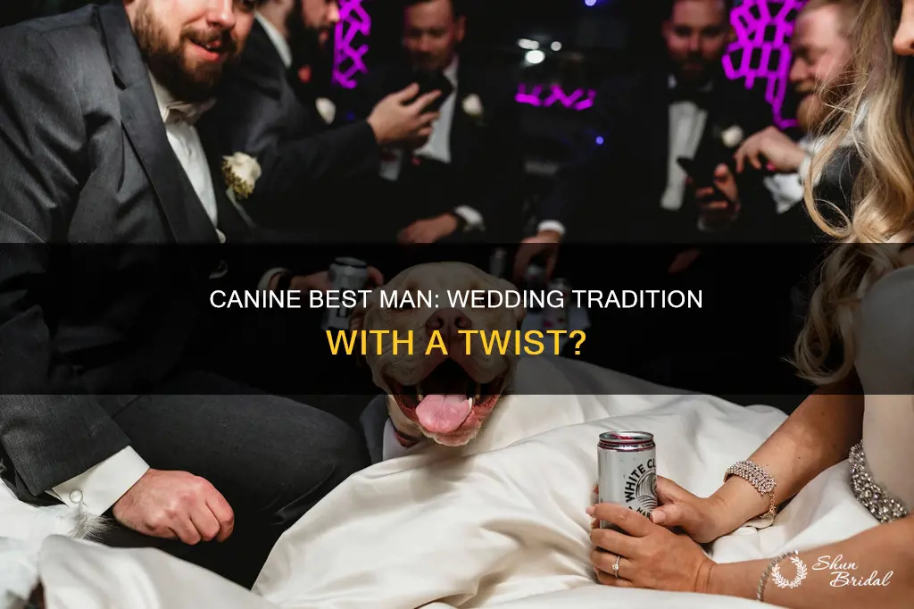 can a dog be your best man at your wedding