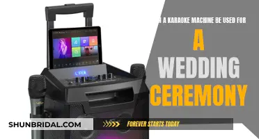 Karaoke Machine: Wedding Ceremony's Best Friend?