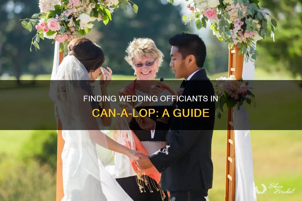 can a lope wedding officiants