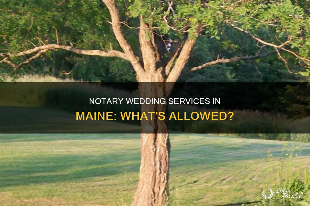 can a notary perform a wedding in Maine