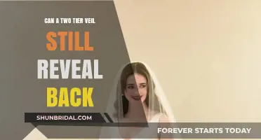 Two-Tier Veil Secrets: Does It Still Reveal What’s Behind?