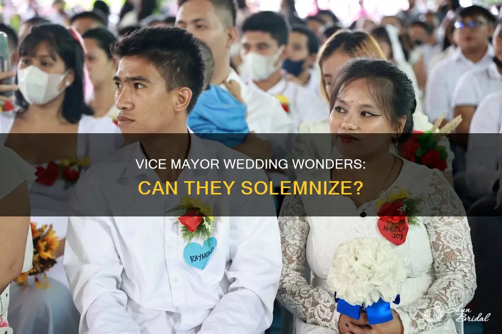 can a vice mayor solemnize a wedding