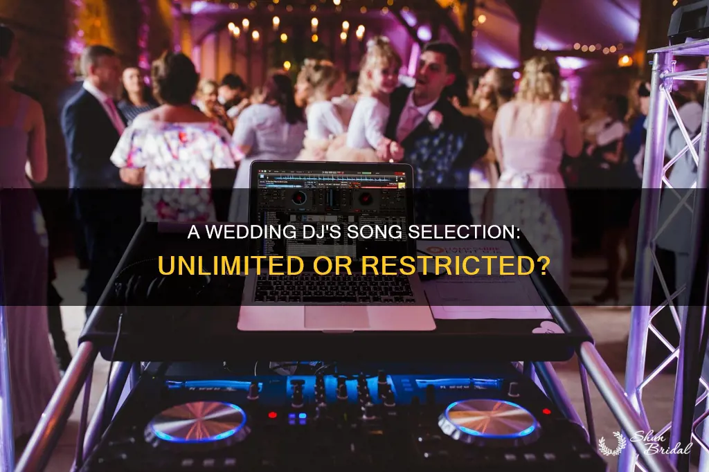 can a wedding dj play any song