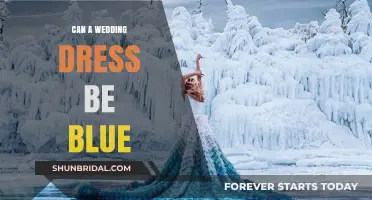 Blue Wedding Dresses: A Unique Choice