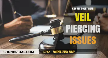 Can Every Court Address Veil Piercing Issues? Legal Insights Explained