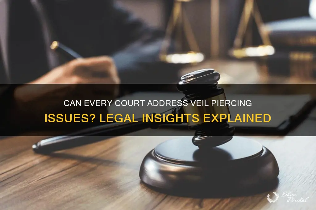 can all court hear veil piercing issues