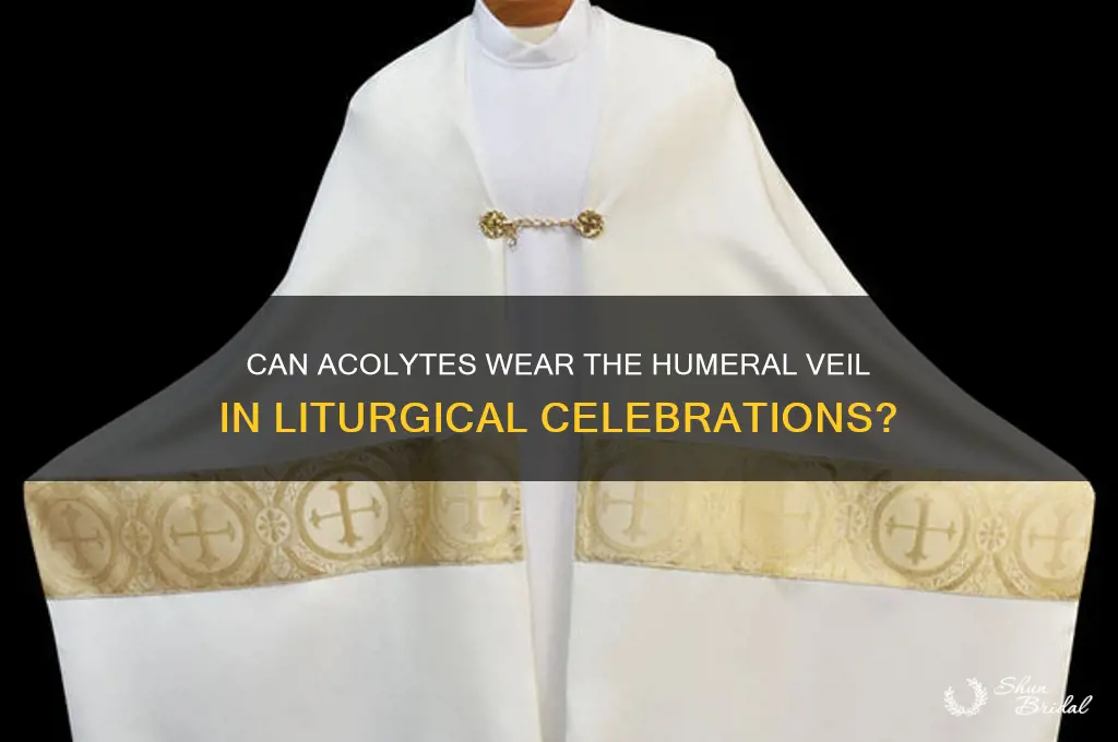 can an acolyte wear the humeral veil