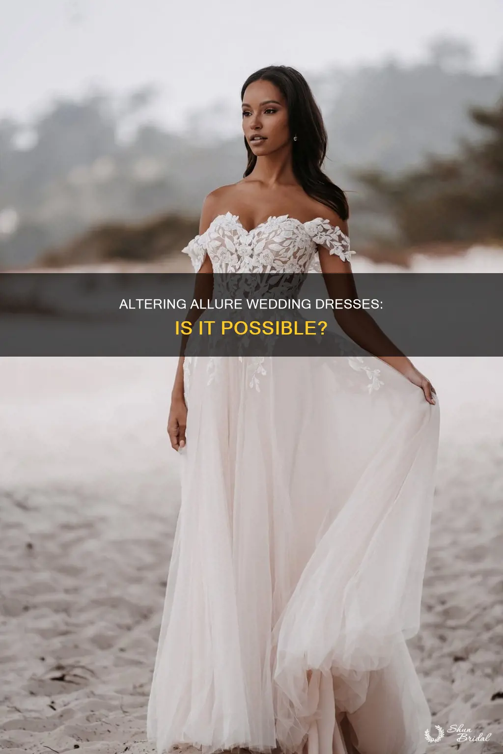 can an allure wedding dress be altered 2 sizes