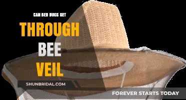 Can Bed Bugs Penetrate Bee Veils? Essential Protection Tips for Beekeepers