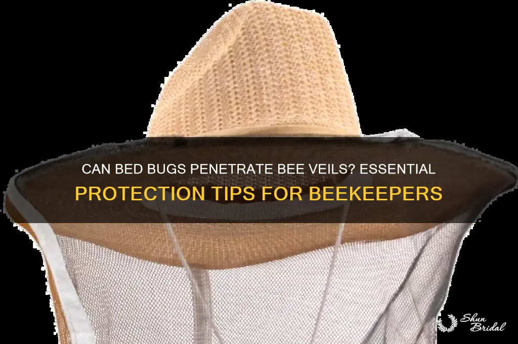 can bed bugs get through bee veil