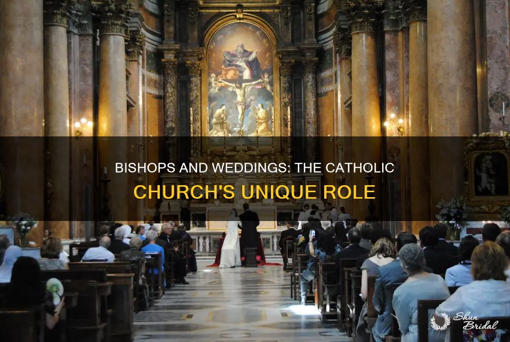 can bishops in the cathloic church perform weddings