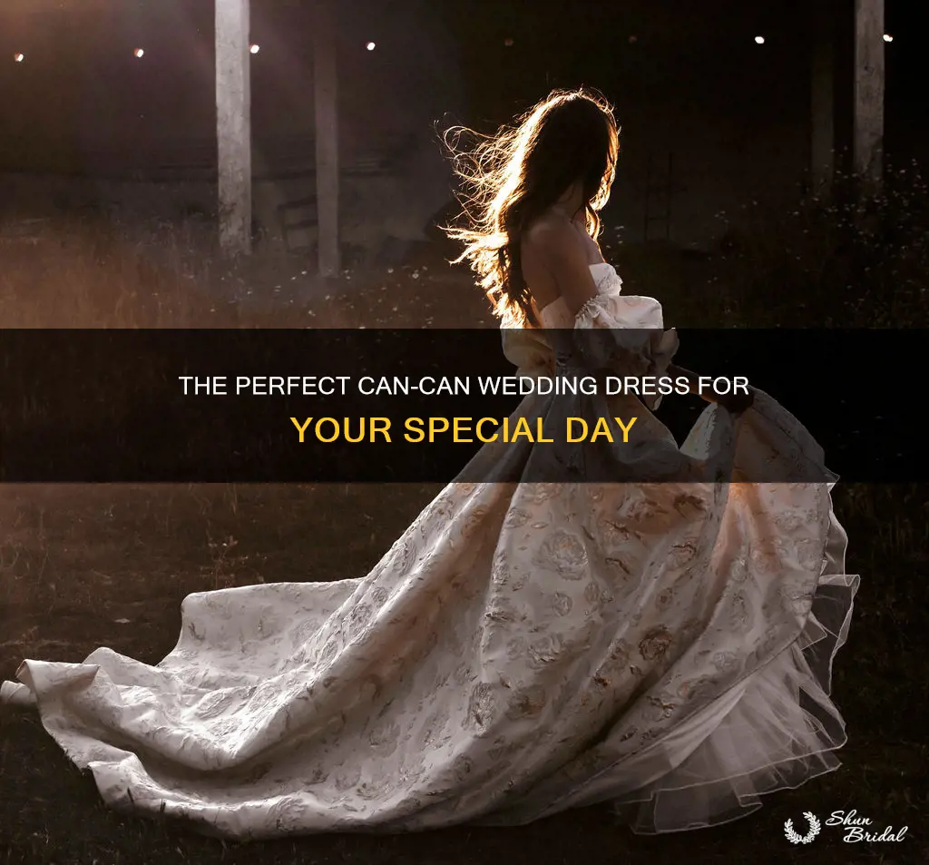 can can wedding dress