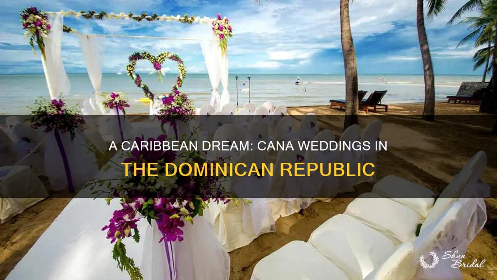 can cana wedding dominican republic