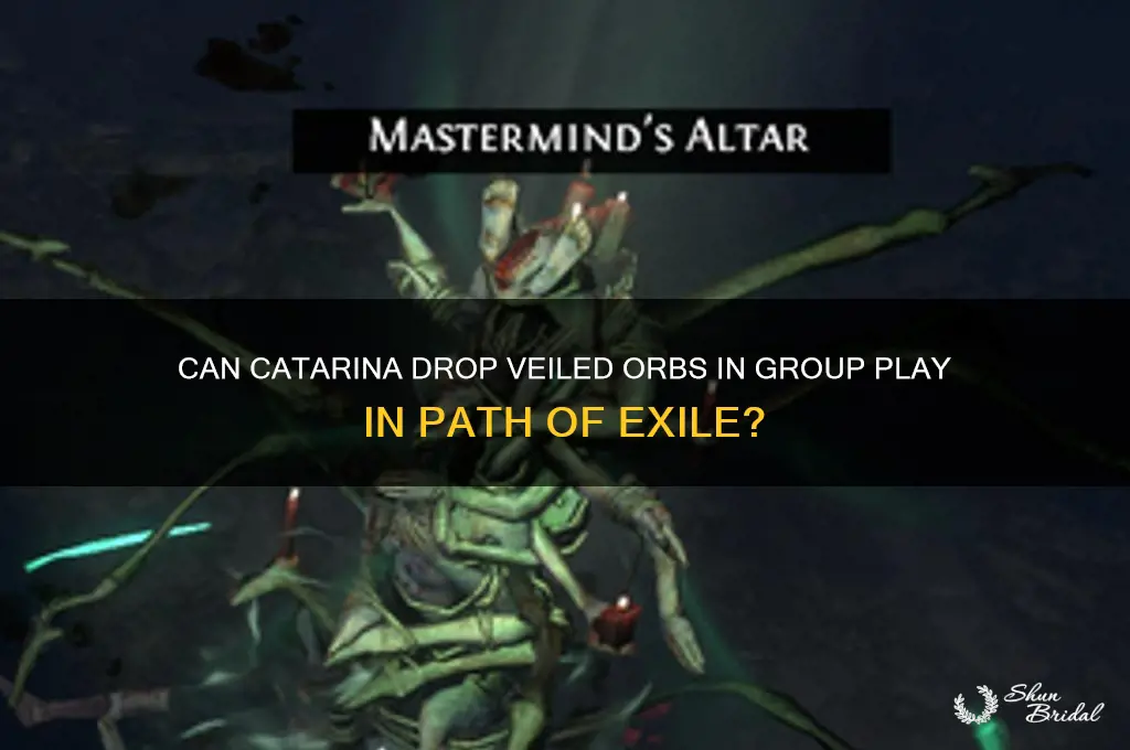 can catarina drop veiled orbs if in group poe