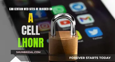 Blocking Websites: Cell Phone Parental Controls Explored