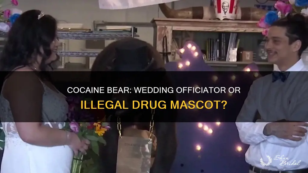 can cocaine bear officiate weddings