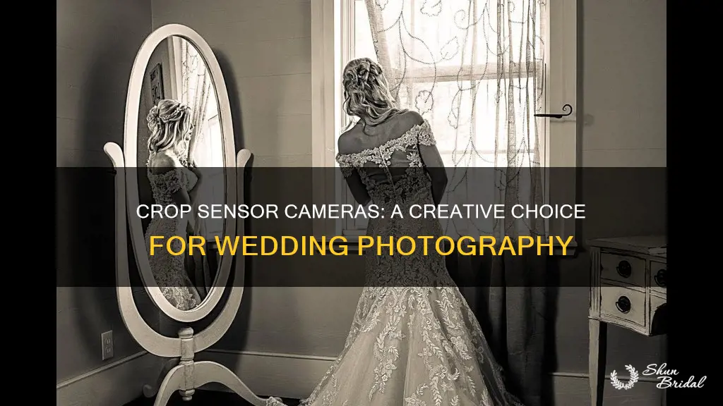 can crop sensor camera be used for weddings