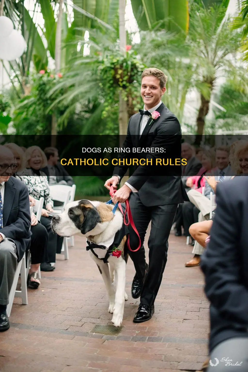 can dogs be ring bearer in catholic church