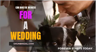 Dogs as Wedding Witnesses: Is It Legal?