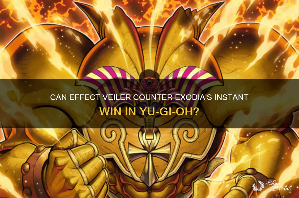 can effect veiler negate exodia
