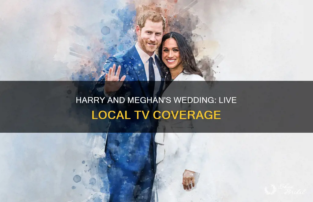 can harry meghan wedding be seen live on loccal tv