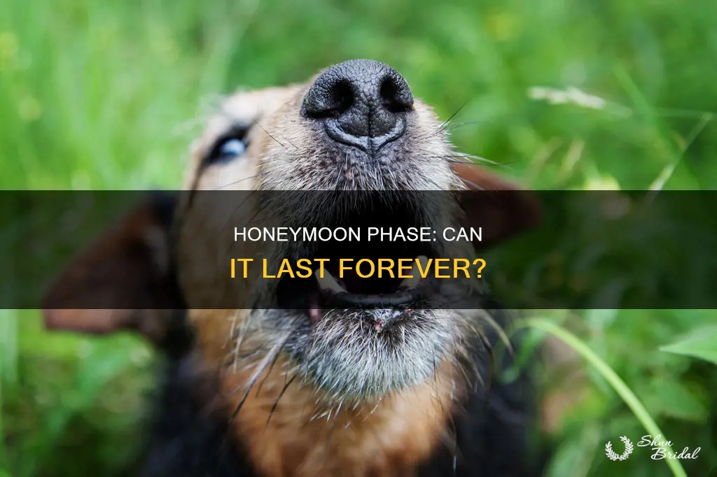 can honeymoon phase be permanent