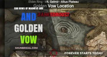Unveiling the Can Hows of Madness and the Golden Vow