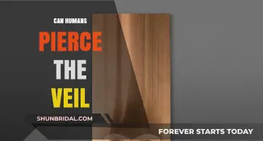Piercing the Veil: Exploring Humanity's Quest for the Beyond
