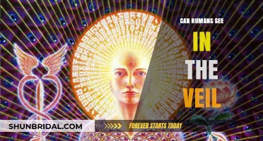 Can Humans See Beyond the Veil: Exploring the Limits of Perception