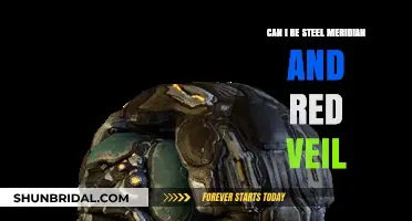 Steel Meridian vs. Red Veil: Can You Align with Both Factions?