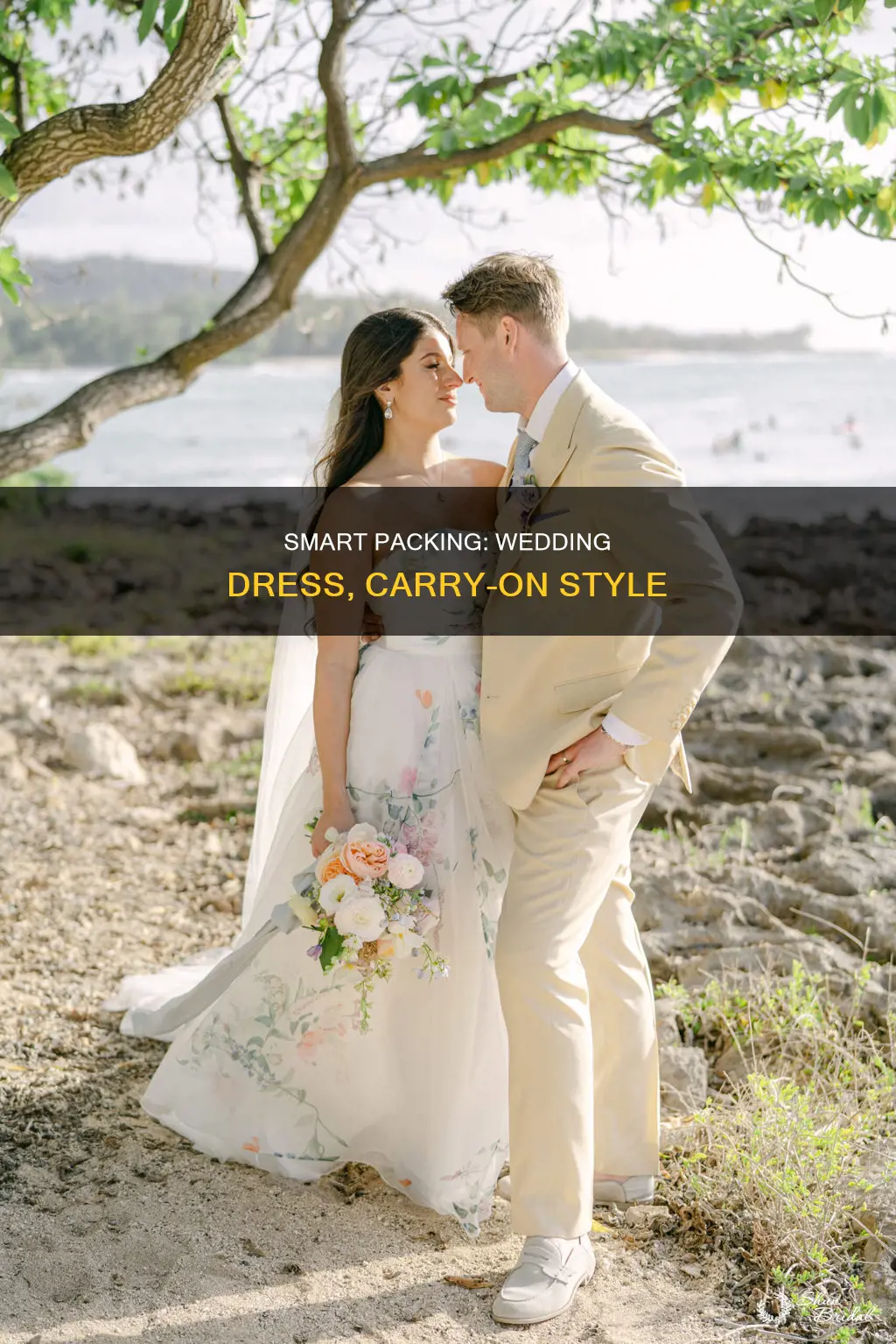 can I bring my wedding dress as a carry on