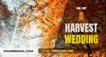 Harvest Wedding: A Cozy, Golden Celebration to Buy