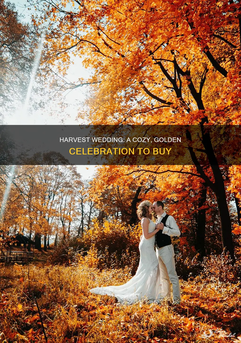 can I buy a harvest wedding