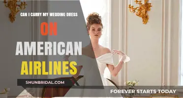 American Airlines: Wedding Dress Carry-On Policy Explained