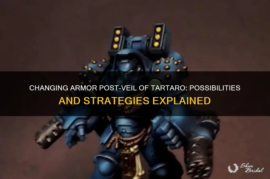 can i change armor after going through veil of tartaro
